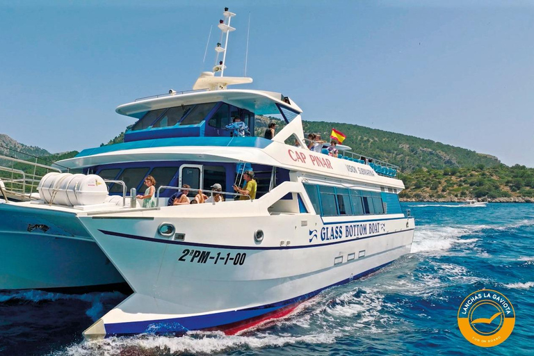 Pollença: Dolphin Watching Boat Excursion Dolphin watching mallorca north