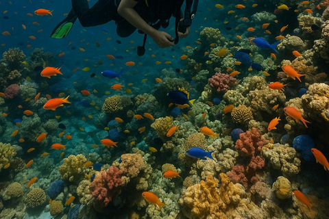 Discover Scuba Diving for Beginners – Negril