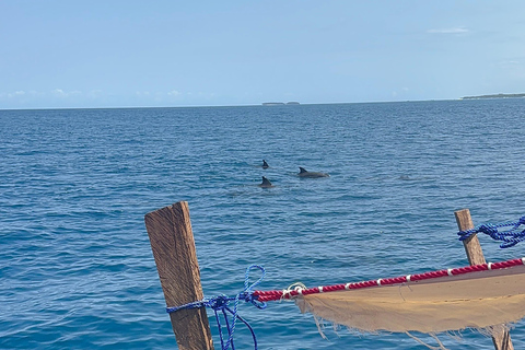 Nungwi/Kendwa: Mnemba Island Dolphin &amp; Snorkeling Tour en barcoTraslado desde Kendwa o desde Nungwi