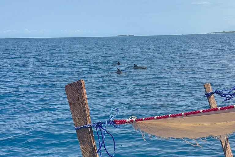 Nungwi/Kendwa: Mnemba Island Dolphin &amp; Snorkeling Tour en barcoTraslado desde Kendwa o desde Nungwi