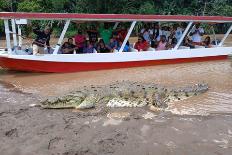 Puerto Caldera: Private Tour zu Affen und Wildtieren mit Mittagessen