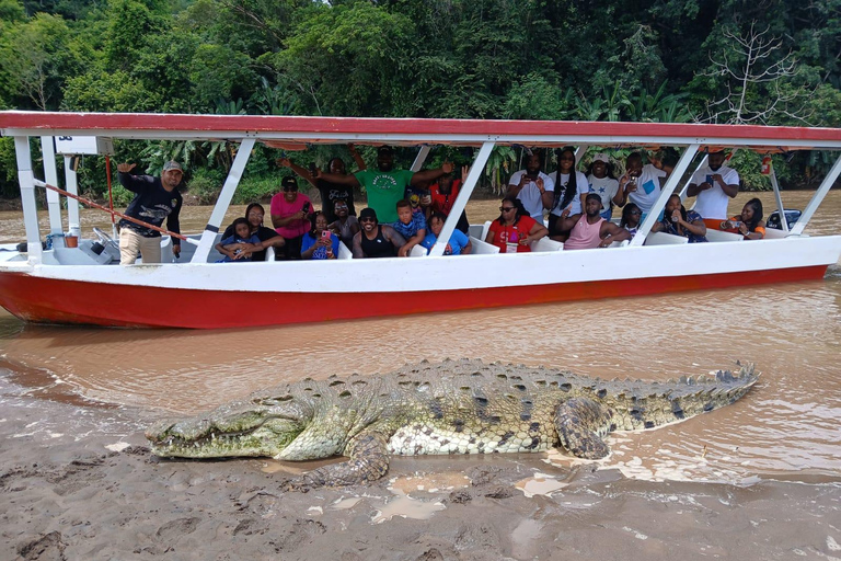 Puerto Caldera: Private Tour zu Affen und Wildtieren mit Mittagessen