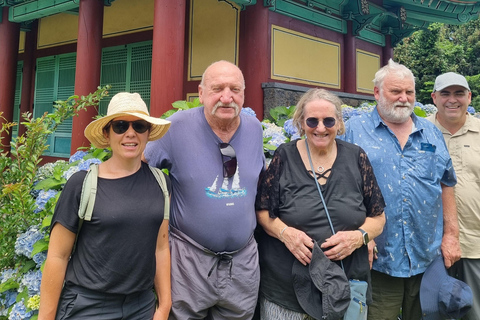 Jeju: Bespoke Sightseeing Tours with Licensed Tour Guide