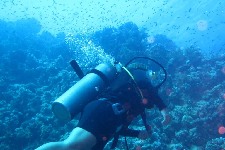Sharm El Sheikh: Ras Mohamed Snorkeling & Diving Boat Trip Ras Mohamed & White Island – Snorkeling Package
