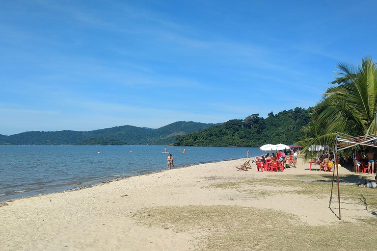 Nature inoubliable : Visite de la forêt de Tijuca et du Jardim Botânico