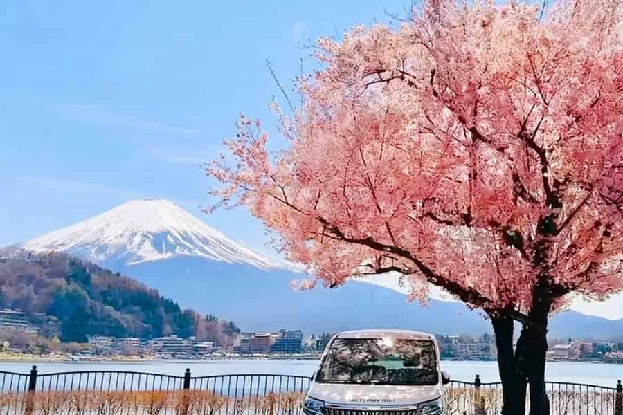 Tagestour: Fuji & Kawaguchiko-See mit Panorama-Seilbahn. Foto: GetYourGuide Tagestour: Fuji & Kawaguchiko-See mit Panorama-Seilbahn. Foto: GetYourGuide