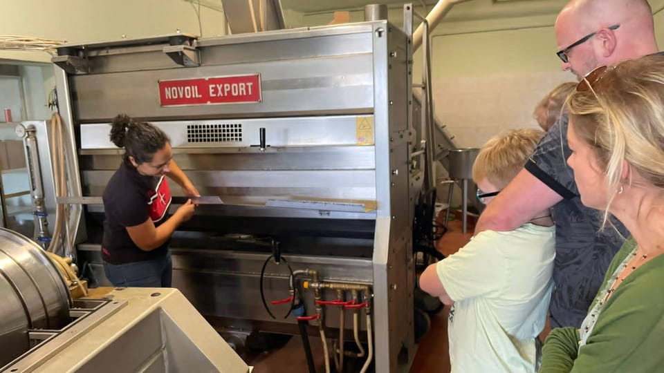 Nuoro, Besuchen Sie eine Ölmühle mit Ölprobe - Hizvo