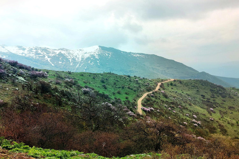 From Yerevan: Khor Virap, Noravank & Areni Wine Tour From Yerevan: Shared Khor Virap, Noravank & Areni Wine Tour