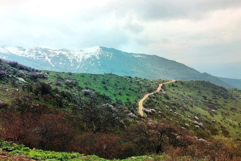 From Yerevan: Khor Virap, Noravank & Areni Wine Tour From Yerevan: Shared Khor Virap, Noravank & Areni Wine Tour