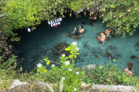 Zanzibar: Jozani forest, Sea tortoises & Mtende beach tour Private tour no Hotel pick and drop off included