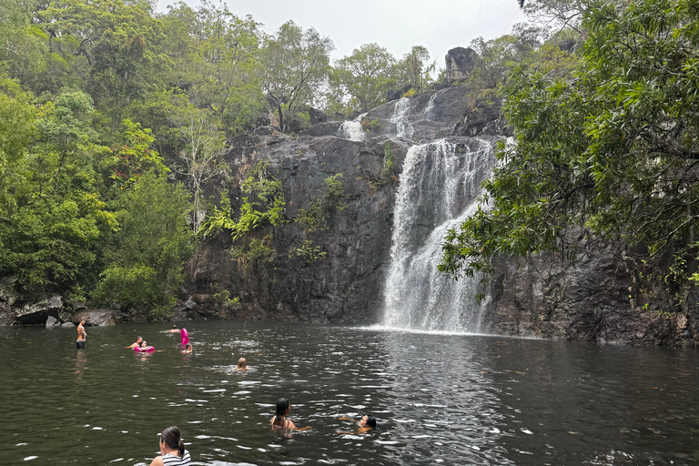 Airlie Beach: Navetta di andata e ritorno per le cascate di Cedar Creek