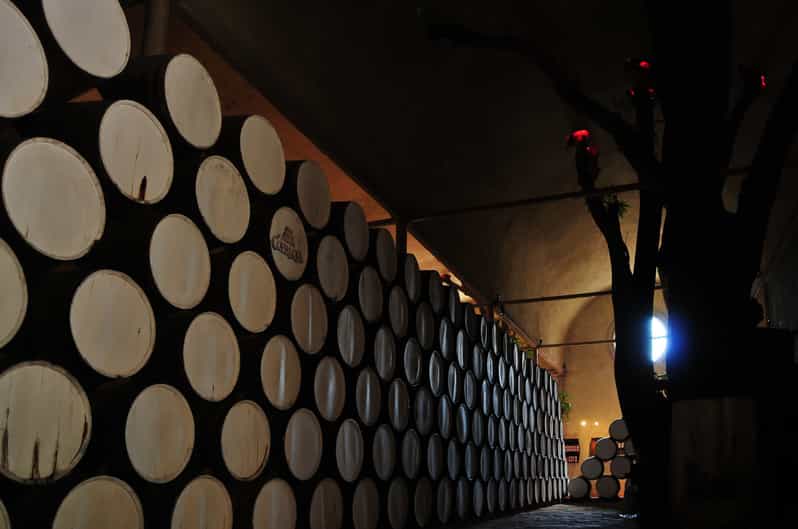 From Guadalajara Jose Cuervo Distillery & Tequila Town Tour GetYourGuide
