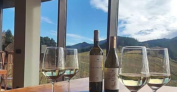 Gernika: 5 Txakolis & Basque Pairings near Bilbao