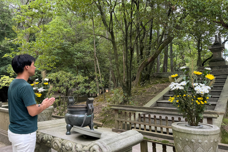 Nara: Yakushi-ji y Toshodai-ji, Patrimonio de la Humanidad, en 3 horas