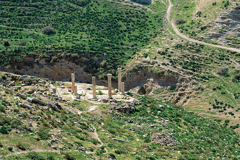 Excursion privée d&#039;une journée à Umm Qais et Pella au départ d&#039;AmmanTOUR SEULEMENT