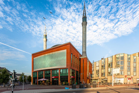 Utrecht: Guided Bike Tour with Gelato and Windmill Visit