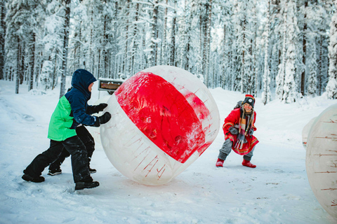 Levi：Arcandia，精灵法庭/日光和公园/黑暗精灵法庭：3 小时体验和公园之旅
