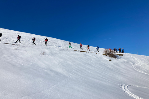 Raquettes à neige avec Freeride AirboardRandonnée en raquettes à neige avec Freeride Airboard