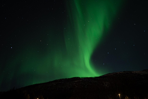 Tromsø: Northern Lights Tour with Local Guide and Photos