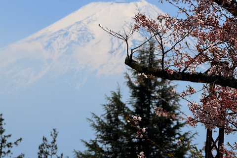 Tokyo: Private Guided Tour Mount Fuji , Hakone & Lakes