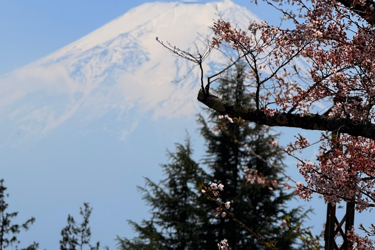 Tokyo: Private Guided Tour Mount Fuji , Hakone & Lakes