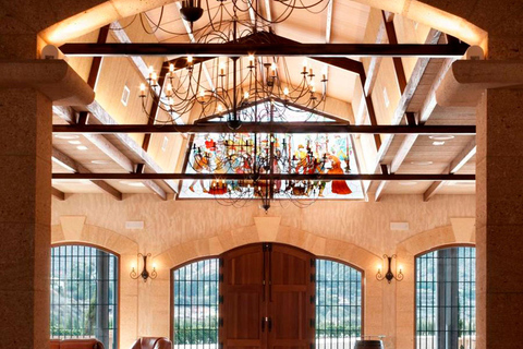 Santa Pola, Gran Alacan, Urbanova: Guided Wine Tasting Tour