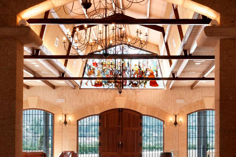 Santa Pola, Gran Alacan, Urbanova: Guided Wine Tasting Tour