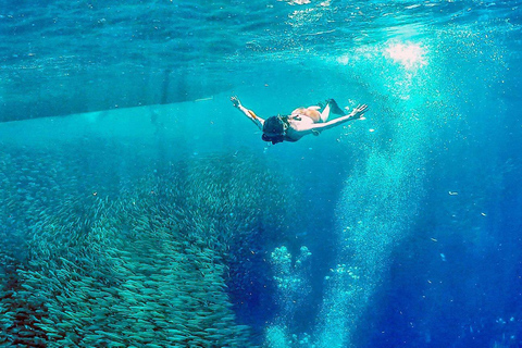 Cebu: 2 Days 1 Night City and Moalboal Tour Package