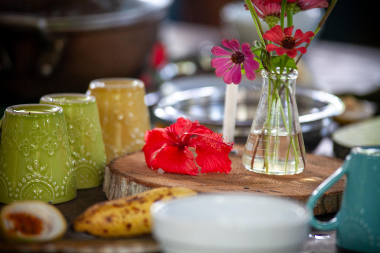 Itacaré: Maraú - 5-Day Silence and Purification Retreat