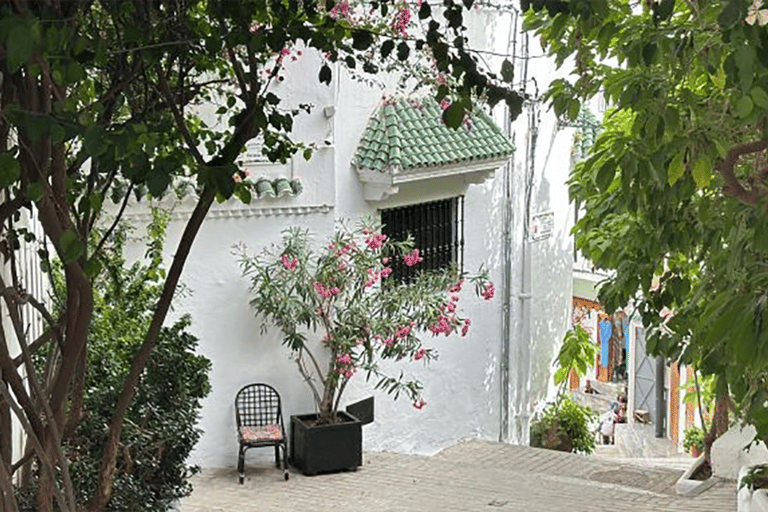 Viagem de 1 dia com tudo incluído de Cádiz a Tânger, Marrocos