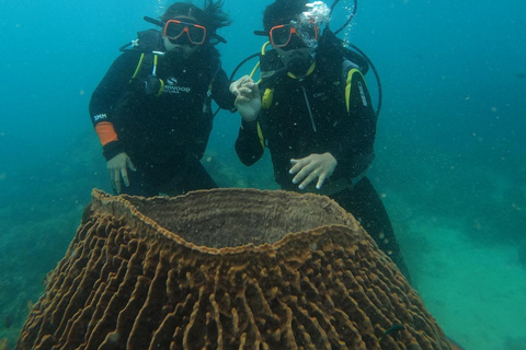 Boracay: Discover Scuba Diving | Pickup at the Hotel