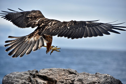 Española Island Day Trip with Snorkeling