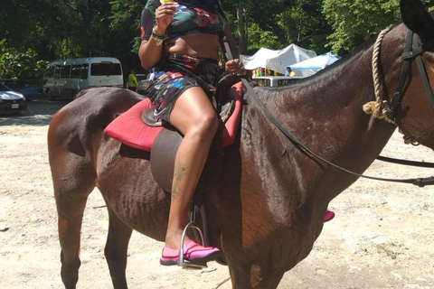 Ocho Rios : Aventure pittoresque à cheval