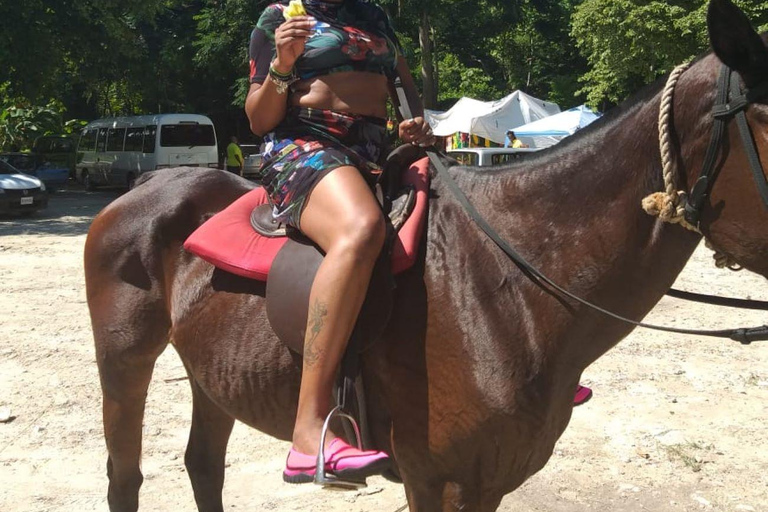 Ocho Rios : Aventure pittoresque à cheval