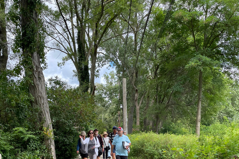 Toronto: Toronto Islands Guided Boat and Walking Tour