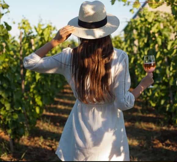 Cape City Tour and Award-Winning Constantia Wineries.