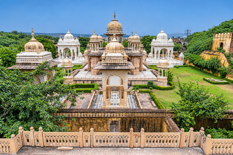 Jaipur: Private Evening Tour & Monkey Temple Sunset by Car Jaipur: Evening Tour & Monkey Temple Sunset by Tuk Tuk