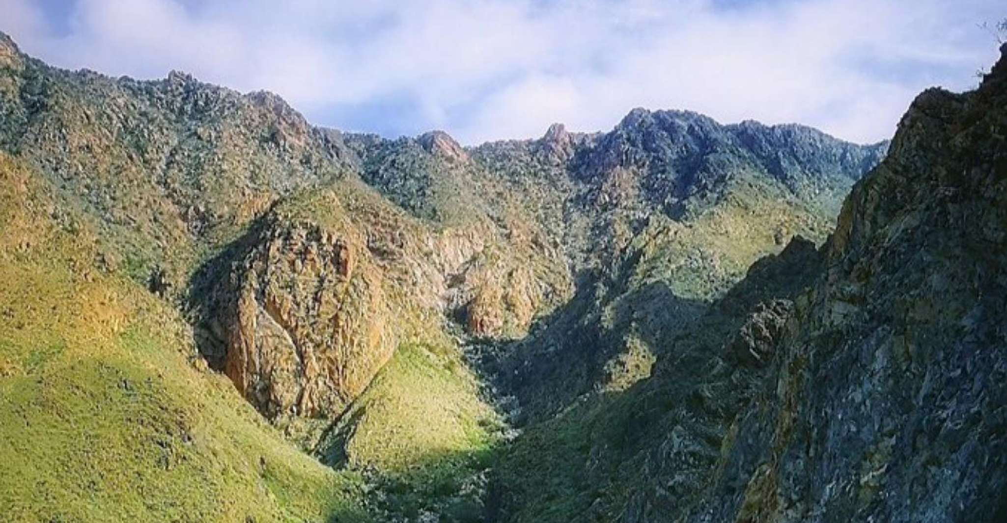 From Jeddah: Full-Day Tour To Taif photo 10