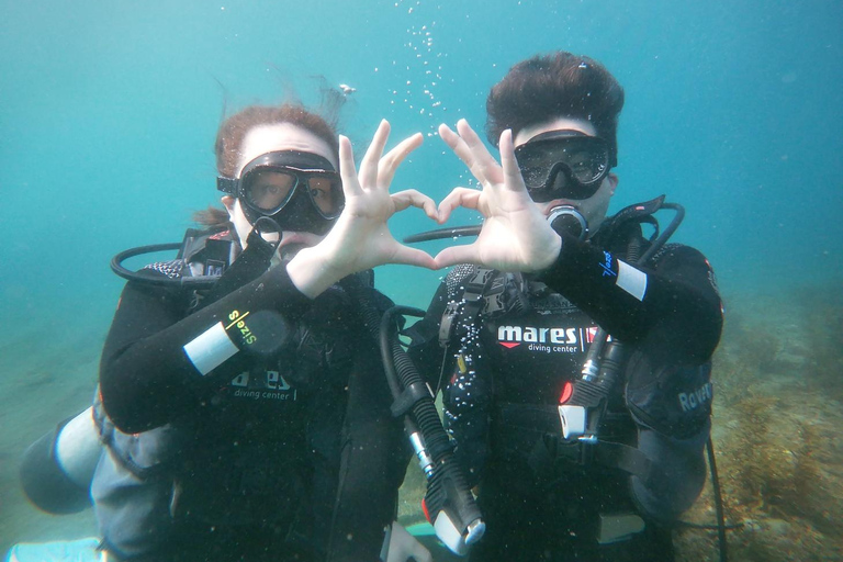 Jeju : expérience de plongée sous-marine près de Seongsan Ilchulbong