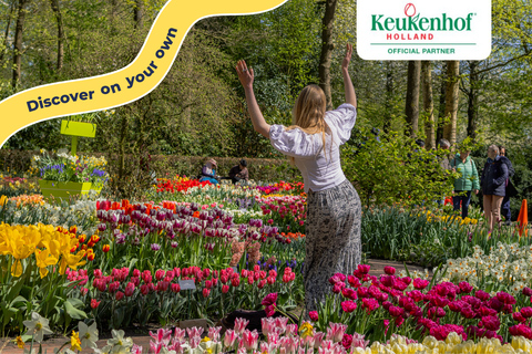 Amsterdam: Keukenhof Entry and Roundtrip Shuttle Transfer