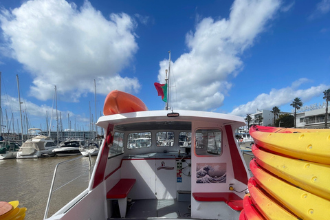 Marina de Lagos: tour in kayak di Ponta da Piedade