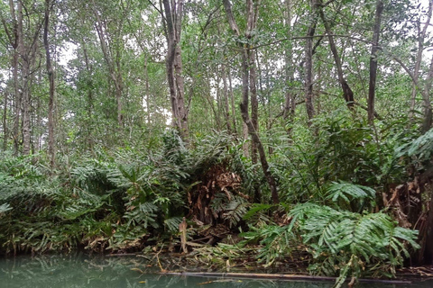 مانويل أنطونيو: جولة بالقارب بين أشجار المانغروف لمشاهدة الحيوانات