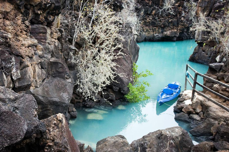 Puerto Ayora: Bay Excursion with Snorkeling and Coastal Landscapes