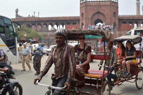 Da Delhi: Tour privato dei templi e dei siti spirituali di Delhi