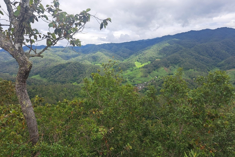 Chiang Mai: jungletocht, olifanten en verblijf in een bergstamdorpChiang Mai: tweedaagse jungletocht met verblijf in de bergstam