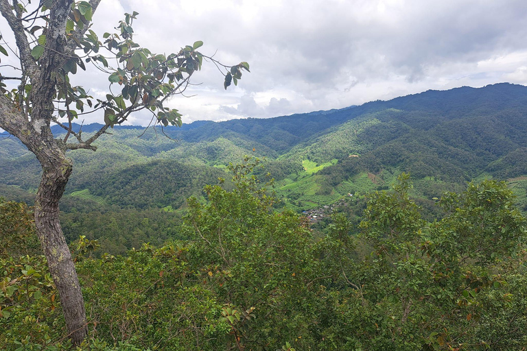 Chiang Mai: 2-dagars djungelvandring med elefantfarm och forsränning