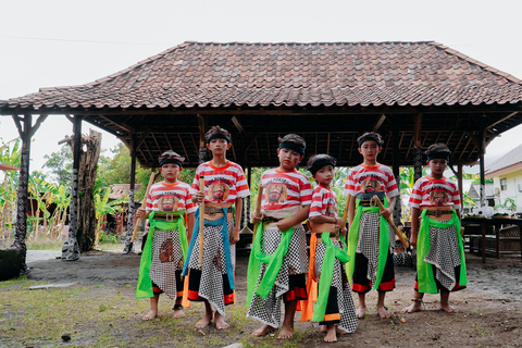 Yogyakarta: Village Tour with Ox Cart Ride and Lunch