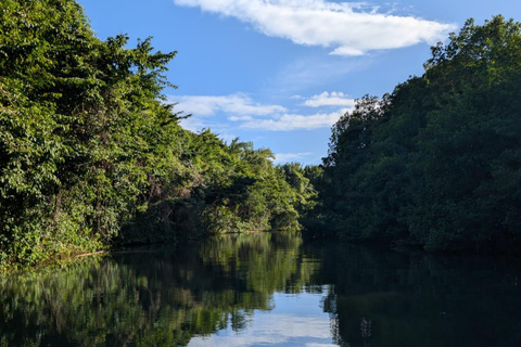 Guadeloupe: Boat Day Trip for Cruise Ship Passengers. Cruise Ship Friendly Guadeloupe: Day Trip by Boat for Cruise Passengers. Cruise Ship Friendly