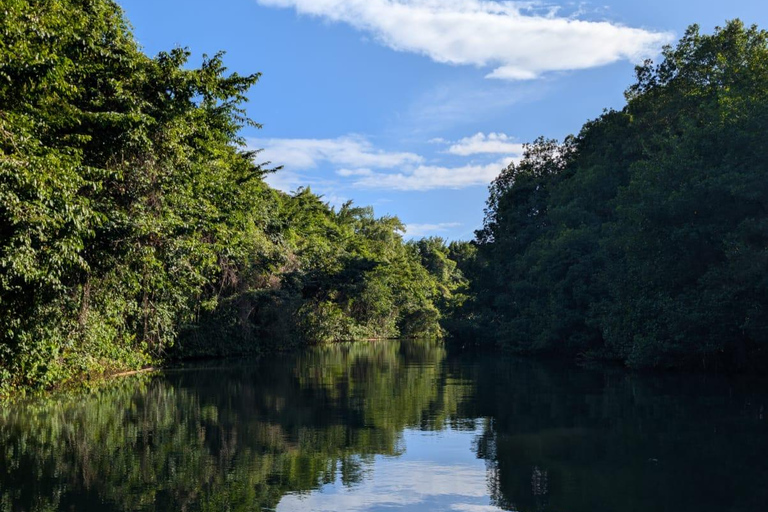 Guadeloupe: Boat Day Trip for Cruise Ship Passengers. Cruise Ship Friendly Guadeloupe: Day Trip by Boat for Cruise Passengers. Cruise Ship Friendly