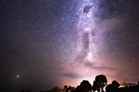 Tawharanui: Kiwi spotten & sterrenkijken tour met optioneel verblijfRondreis met Glamping Experience